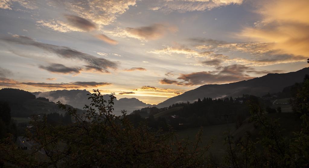 Finest Ski Chalet Leogang By All In One Apartments エクステリア 写真
